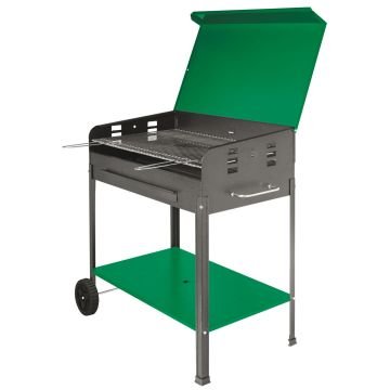 Grigliata Mista Party - Barbecue a carbone con griglia da 75x45 cm No Brand Verde